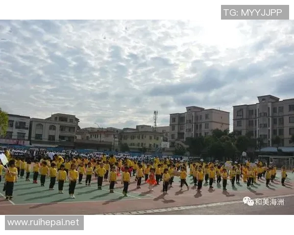 幼儿园小朋友篮球全明星表演赛精彩上演展现童趣与运动魅力